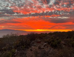 zonsondergang met oranje lucht op tenerife