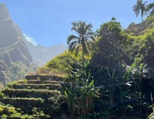 Xoxo vallei in Santo Antao met palmbomen