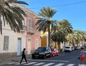 oversteken in Mindelo in een straat met palmbomen