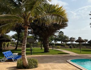 zwembad in Sal met palmbomen
