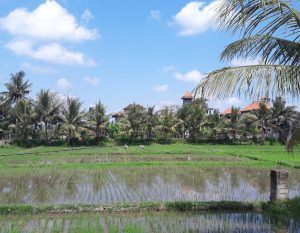 landschap in indonesie