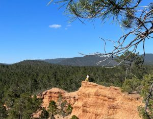 Alieke in de natuur in Spanje op een rots