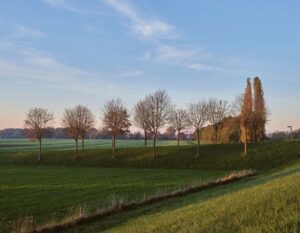 natuur in Nederland met blauwe lucht