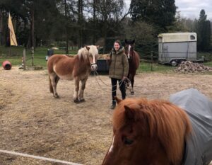 Vere bij de paarden in Spanje