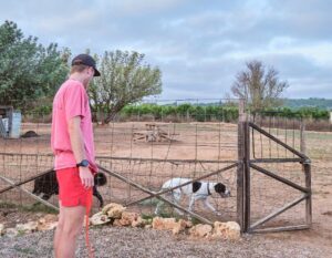 spelen met de honden in spanje