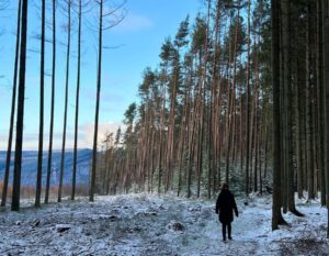 wandelen in de belgische ardennen in de sneeuw