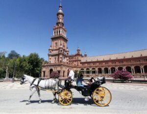 paard en wagen in Sevilla in Spanje