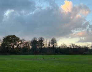 wandeling in het park