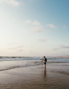 Dave op het strand 