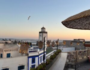 roof terrace in essaouria in morocco with bird