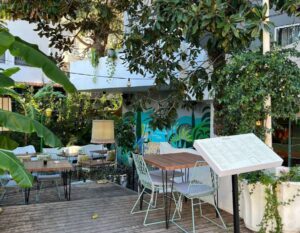 laptop-friendly cafe in Sarande with jungle vibe
