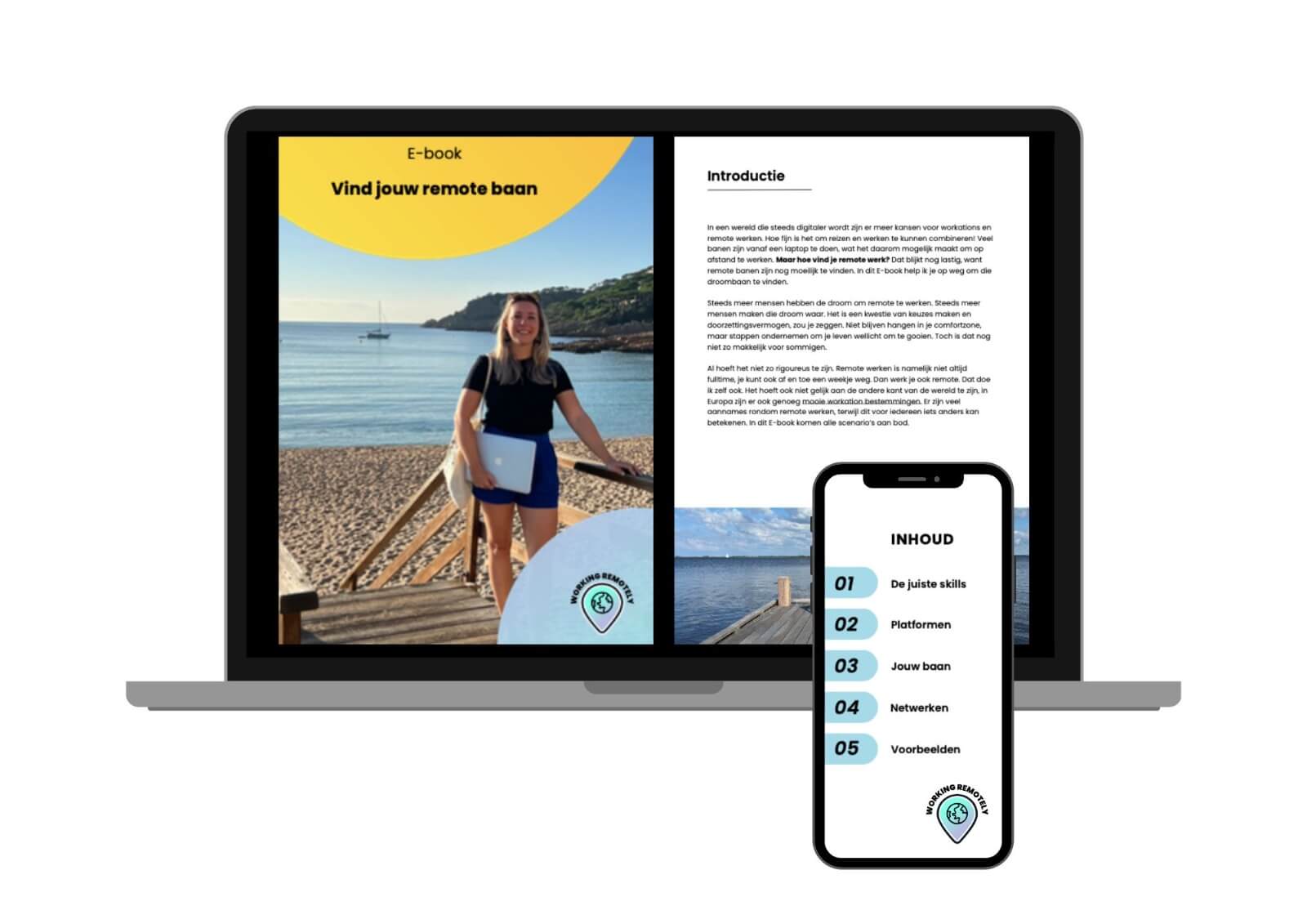 E-book: Find your remote job