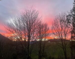 zondondergang met rode lucht achter de bomen