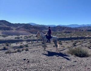 iris on a horse in the mountains