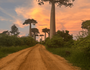 zonsondergang op workation