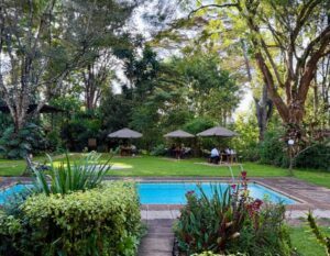 ikigai workspace westland nairobi