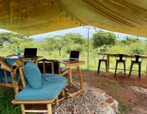 Remote office in Masai Mara, Kenya, with laptops