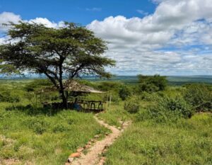 Remote werken in Kenia: mijn tips voor andere digital nomads