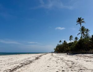 strand van diani beach kenia