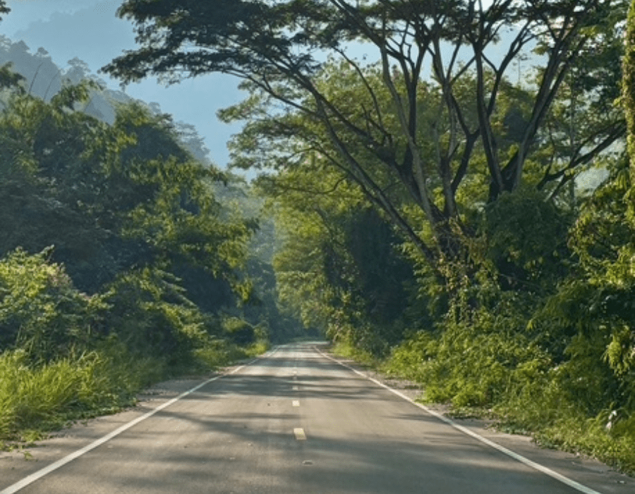 lisanne om the road in thailand 
