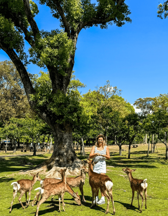 Irene is walking a couple of deer in a garden with tall trees