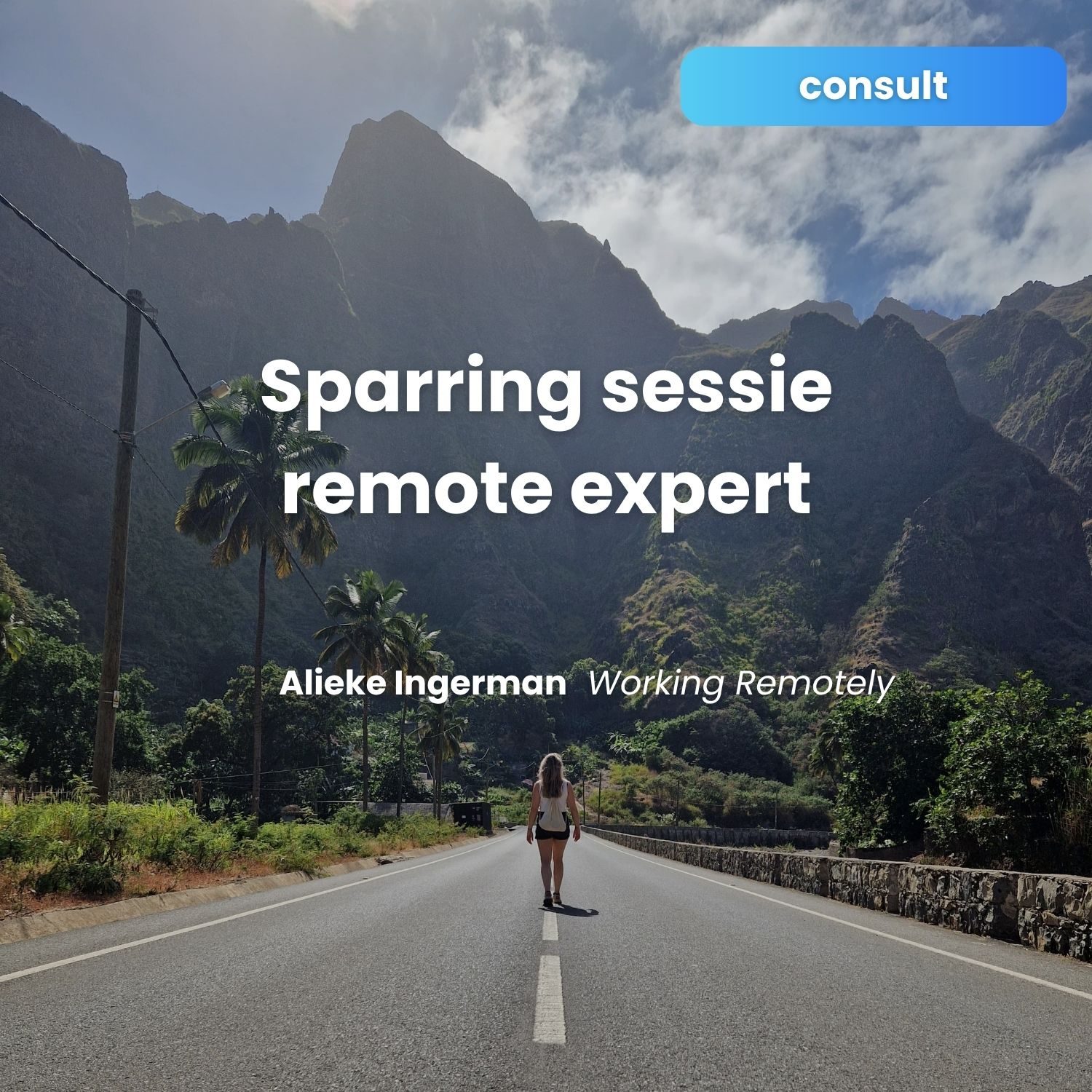 sparring sessie met remote expert Alieke van Working Remotely