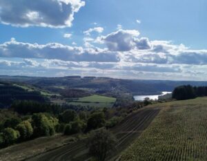 landschap in luxemburg met bomen en water